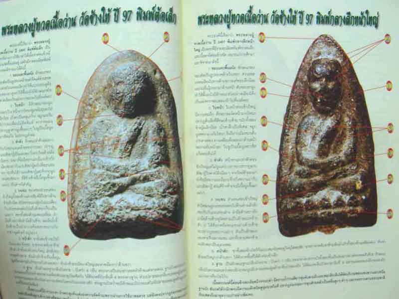 หนังสือเรียนรู้ดูแบบเซียนพระหลวงปู่ทวด เนื่อว่าน 2497