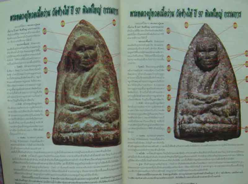 หนังสือเรียนรู้ดูแบบเซียนพระหลวงปู่ทวด เนื่อว่าน 2497
