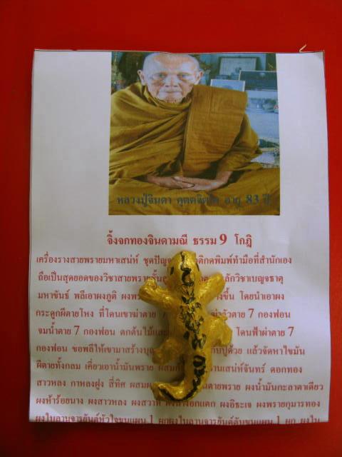 จิ้งจกทองจินดามณี ธรรม 9 โกฏิ หลวงปู่จินดา วัดป่าหม้อ จ.ขอนแก่น