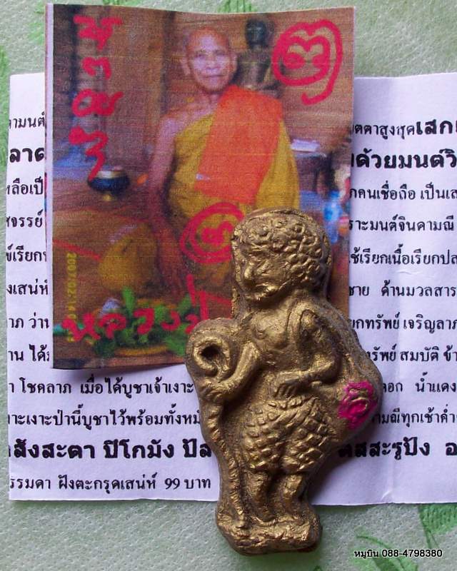 หมูบิน_บ้านนา/ให้คุณกำหนดราคาเช่าเอง/เงาะป่าราชาโชค ลป.บุญมี ร้อยเอ็ด ท่านเมตตาจารยันต์ให้ที่รอบครั