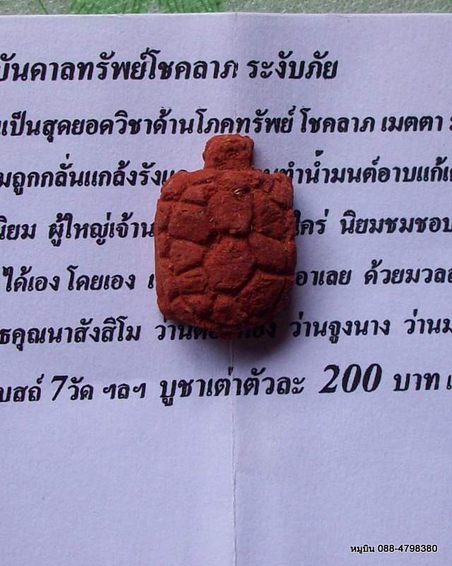 หมูบิน_บ้านนา/เต่าเรือนบันดาลทรัพย์โชคลาภ ระงับภัย