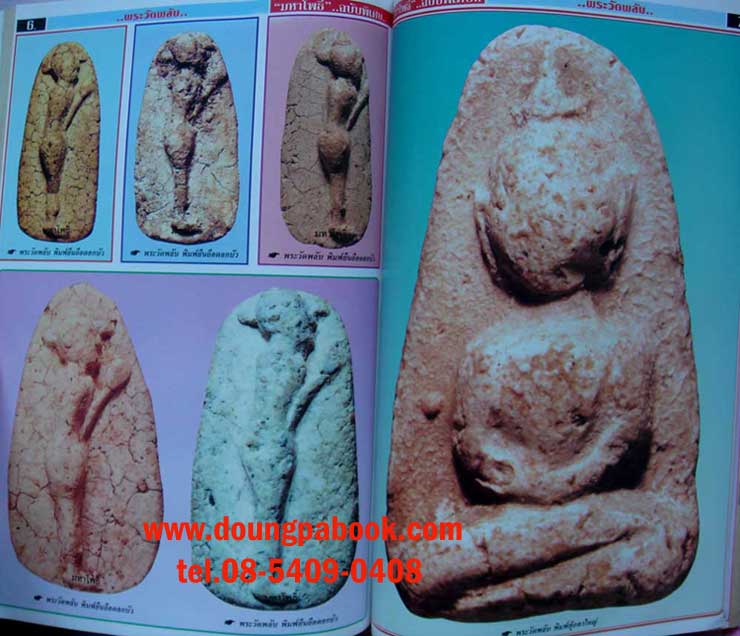 หนังสือ มหาโพธิ์ พระปิลันทร์และวัดพลับ รหัส D184