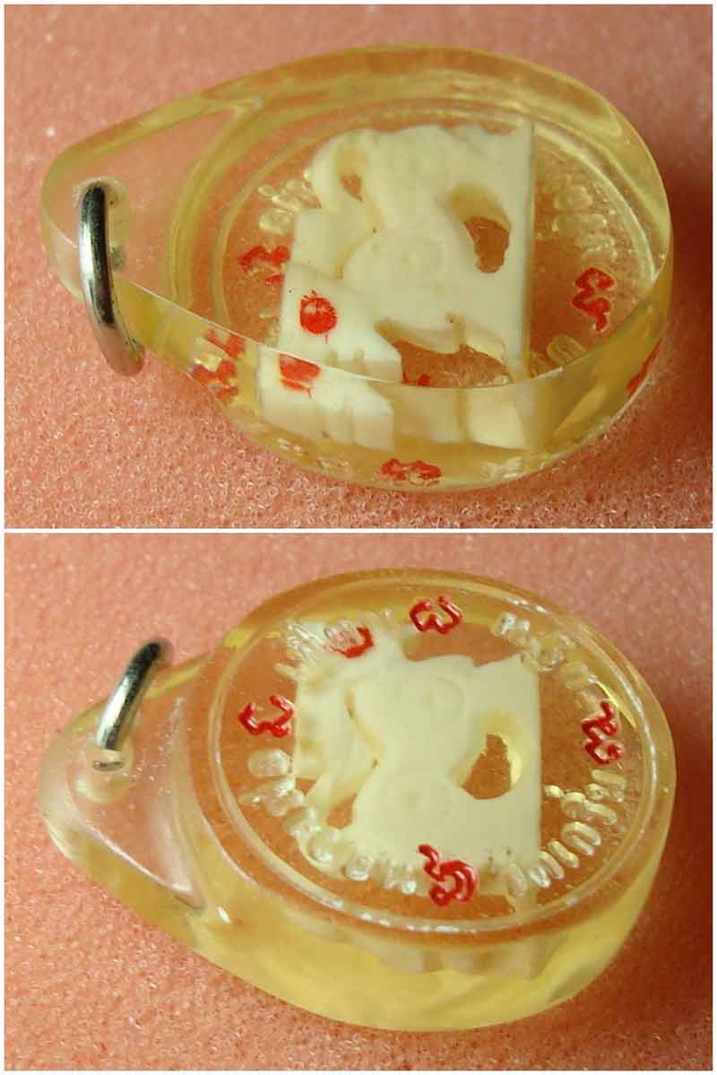สิงห์งาแกะ หลวงพ่อเพี้ยน วัดเกริ่นกฐิน จ.ลพบุรี ยุคแรก ปี 2548 พร้อมเลี่ยมเดิมจากวัด #2