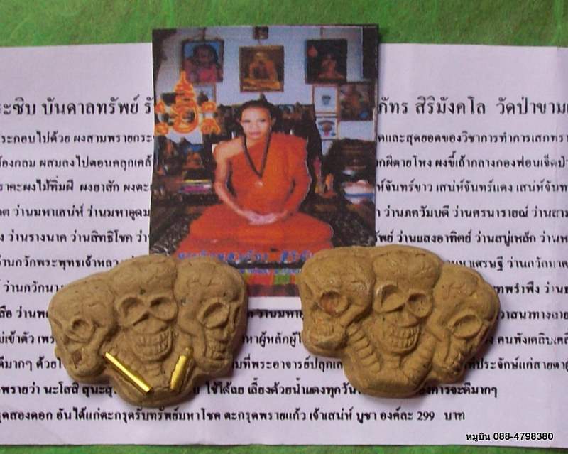 หมูบิน_บ้านนา/แบบธรรมดากะฝังตะกรุดเจ้าเสน่ห์ สามพรายกระซิบ บันดานทรัพย์ รับโชด และเตือนภัย
