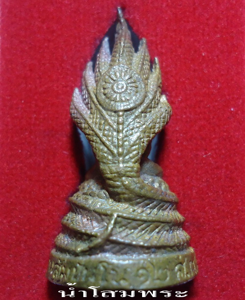 หลวงตามหาบัว
