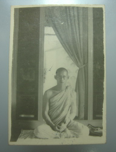 รูปภาพ ในหลวงทรงผนวช หลังตายาง 