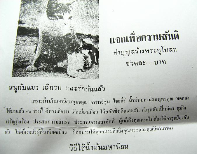 น้ำมันหนูแมว อาจารย์ชุม ไชยคีรี 