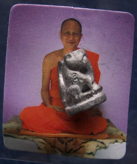 ถูกจริงๆ....200 บาท !! เสือเขี้ยวดาบ วัดปริวาสราชสงคราม ที่ระลึกสร้างอุโบสถ พ.ศ. 2551 ตอกโค้ด พิมพ์เ