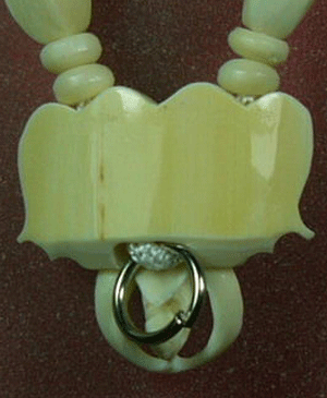 สร้อยงา