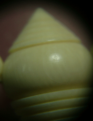 สร้อยงา