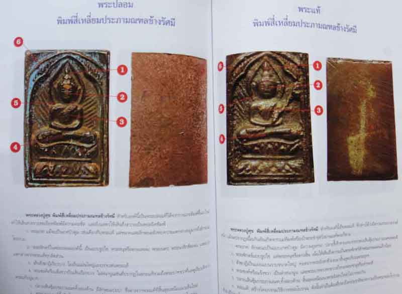 หนังสือพระการศึกษาพระหลวงปู่ศุข วัดปากคลองมะขามเฒ่า