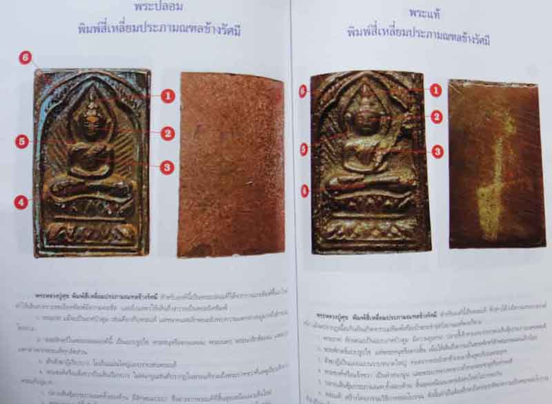 หนังสือพระการศึกษาพระหลวงปู่ศุข วัดปากคลองมะขามเฒ่า 