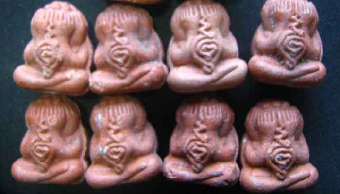 หลวงปู่หมุนปิดตาชมพูนุช8องค์