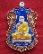 หลวงตาบุญหนา ธมฺมทินโน รุ่นตำรวจพังโคน