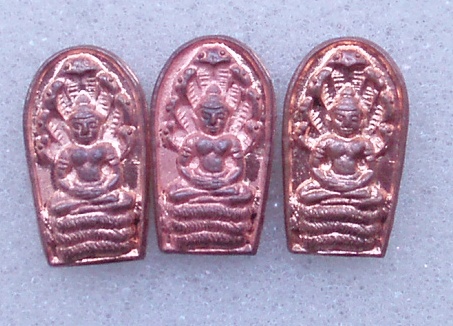 เหรียญนาคปรกใบมะขาม หลวงปู่ทิม วัดพระขาว ทีเดียว 3 เหรียญ 