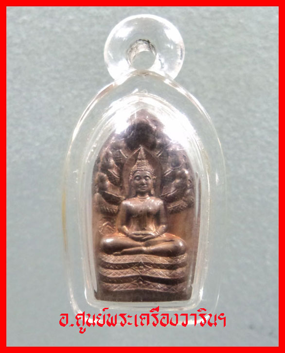 ปรกมะขาม ญาท่านสวน ฉันทโร