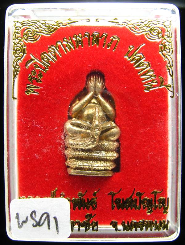 **พระปิดนาคเกี้ยว มหาลาภ ปลดหนี้ หลวงปู่คำพันธ์ เนื้อฝาบาตร สวยๆ ราคาเบาๆ เคาะเดียว**WS91
