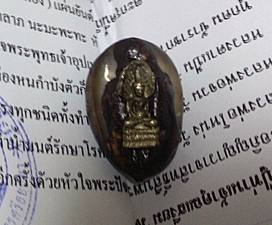 เบี้ยแก้ 1 ใน 155 ตัว หลวงปู่เจ้าคุณเสงี่ยม ( พระสุวรรณศีลาจารย์ ) วัดสุวรรณเจดีย์ พระนครศรีอยุธยา