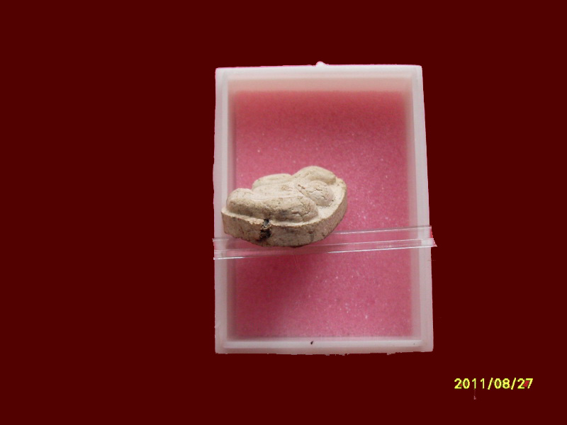 200Feedback/200รายการเริ่ม20บาท no.196