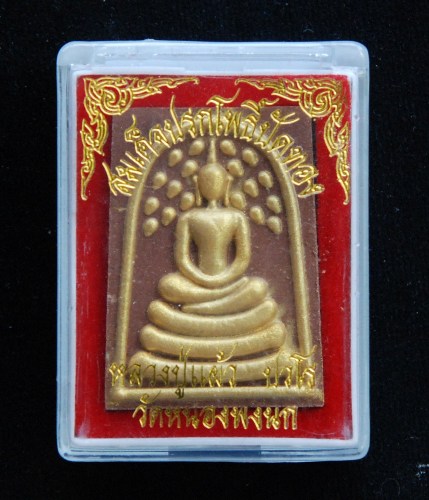 สมเด็จปรกโพธิ์ปัดทอง หลวงปู่แผ้ว ปวโร วัดหนองพงนก
