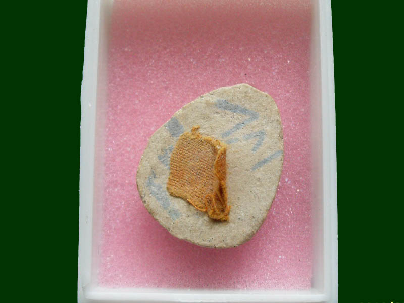 เริ่มค่าส่ง 20บาท มีให้เลือกกว่า300รายการ.. 2/43