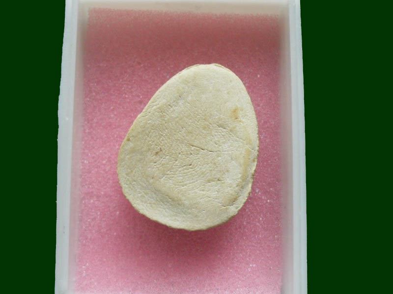 เริ่มค่าส่ง 20บาท มีให้เลือกกว่า300รายการ.. 2/52