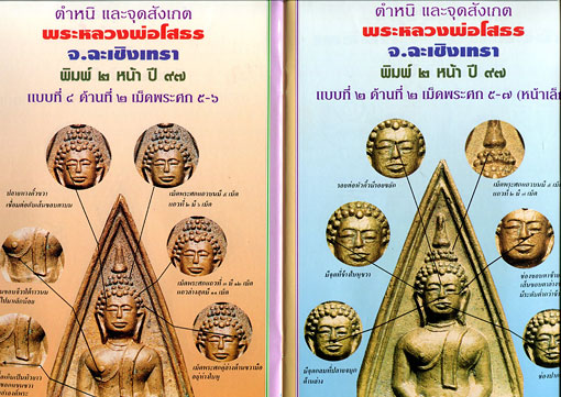 หนังสือ มหาโพธิ์  ชี้เอกลักษณ์  ตำหนิ พระเครื่อง ชุดที่ 3