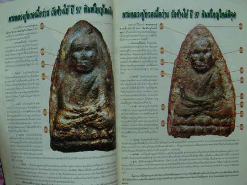 หนังสือเรียนรู้ดูแบบเซียนพระหลวงปู่ทวด เนื่อว่าน 2497