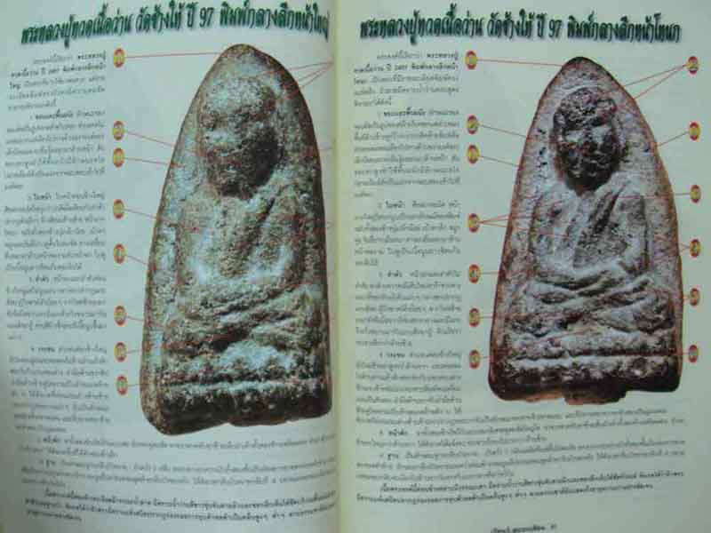 หนังสือเรียนรู้ดูแบบเซียนพระหลวงปู่ทวด เนื่อว่าน 2497