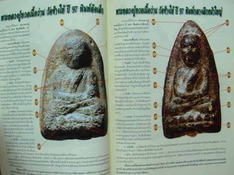 หนังสือเรียนรู้ดูแบบเซียนพระหลวงปู่ทวด เนื่อว่าน 2497
