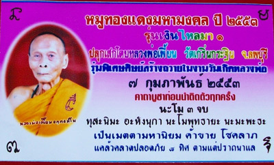 หมูทองแดงมหามงคลปี 2553 หลวงพ่อเพี้ยน วัดเกริ่นกระฐิน จ.ลพบุรี