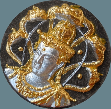 ราชันย์ดำ 5.5ซ.ม. ว่านดำ ปัดสองกษัตริย์ (2โค๊ด)