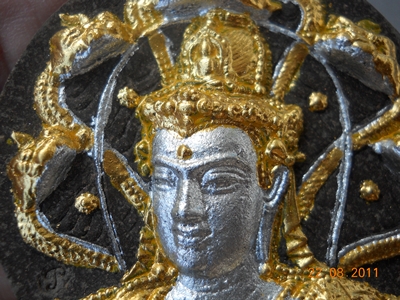 ราชันย์ดำ 5.5ซ.ม. ว่านดำ ปัดสองกษัตริย์ (2โค๊ด)
