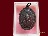 เริ่มค่าส่ง 20บาท มีให้เลือกกว่า250รายการ..P./73
