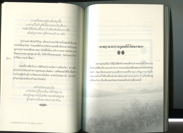 หนังสือ อรหันต์ สันโดษ หลวงปู่หลุย จนทสาโร