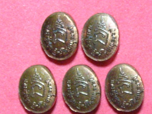 เหรียญเม็ดยาทองแดง หลวงปู่หมุน วัดซับลำใย 5 เหรียญชุดที่ 1 