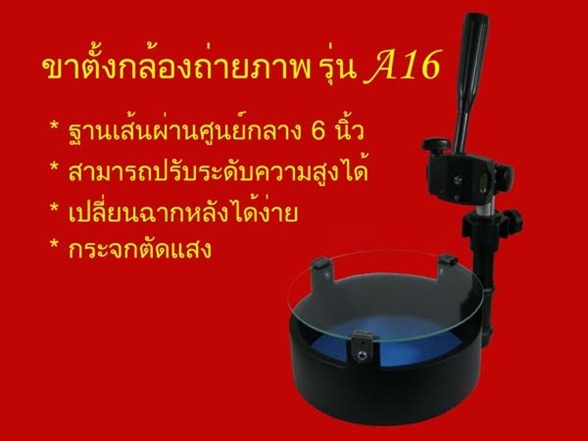 ขาตั้งกล้องถ่ายภาพ