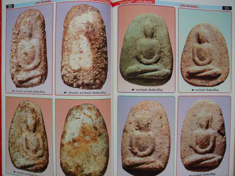 หนังสือ มหาโพธิ์พระวัดพลับ