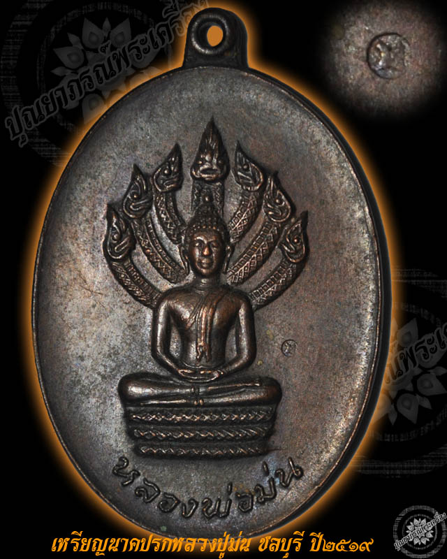 เหรียญนาคปรกรุ่นแรกปี19 หลวงปู่ม่น วัดเนินตามาก ชลบุรี เหรียญ3