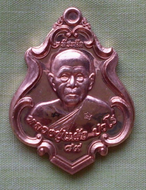เหรียญปาดตาล อายุวัฒนะมงคล ๘๙ หลวงปู่แผ้ว ปวโร วัดรางหมัน เนื้อทองแดง