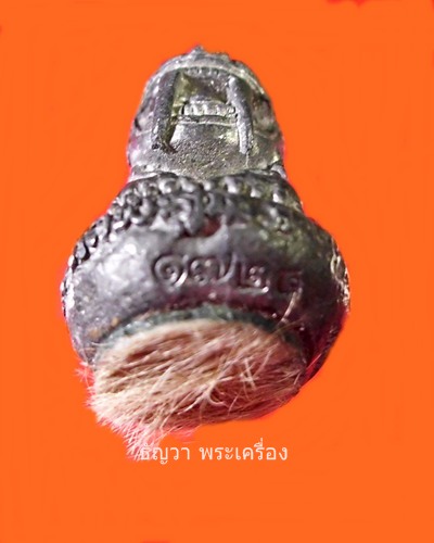  พยัคฆ์เขี้ยวดาบ  รุ่นไตรมาส 49 
