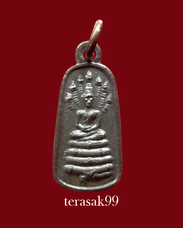 เหรียญนาคปรกใบมะขาม เทพนิมิตร อ.ชุม ไชยคีรี ปี2497 ราคาเบาๆ (3)