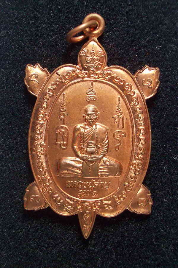 พญาเต่าเรือน หลวงปู่คำบุ รุ่น 1(เจริญสุข ร่ำรวย) ปี 53