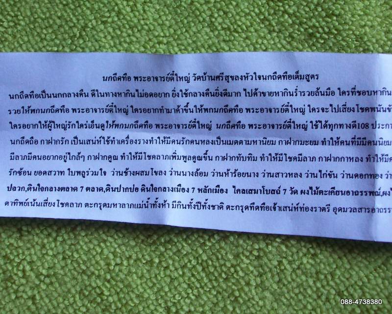 นกถึดทือ ของดีสำหรับนัล่าราตรี พร้อมใบฝอย