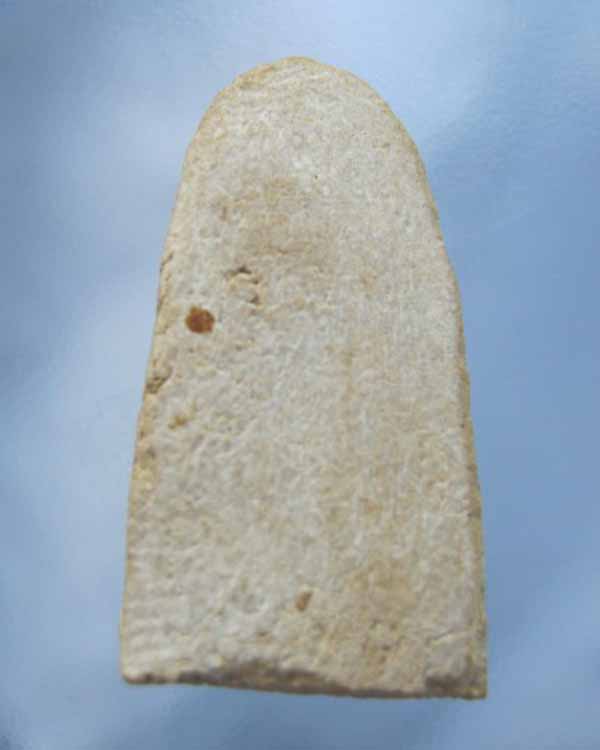 หลวงปู่หยอด วัดแก้วเจริญ ซุ้มนครโกศาไม่มีรัศมี ปี 2497 เนื้อผงพุทธคุณ หลวงปู่ใจ วัดเสด็จ ร่วมปลุกเสก