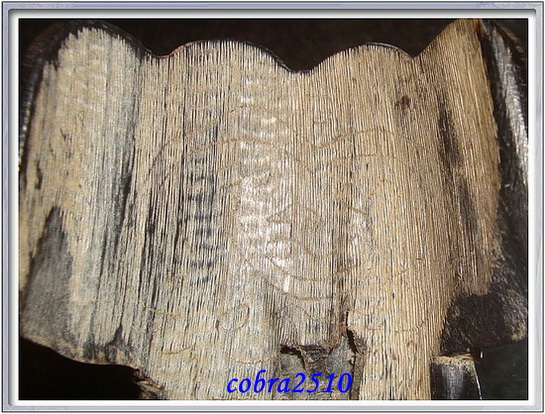 เขาควายแกะมีจารหน้า - หู - หลัง สูงเกือบ ๆ 7 ซม.สวยมาก ไม่ทราบเกจิค่ะ