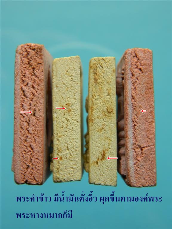พระหางหมาก พระคำข้าว หลวงพ่อฤาษีลิงดำ วัดท่าซุง จ.อุทัยธานี ( ชุดที่ 1)