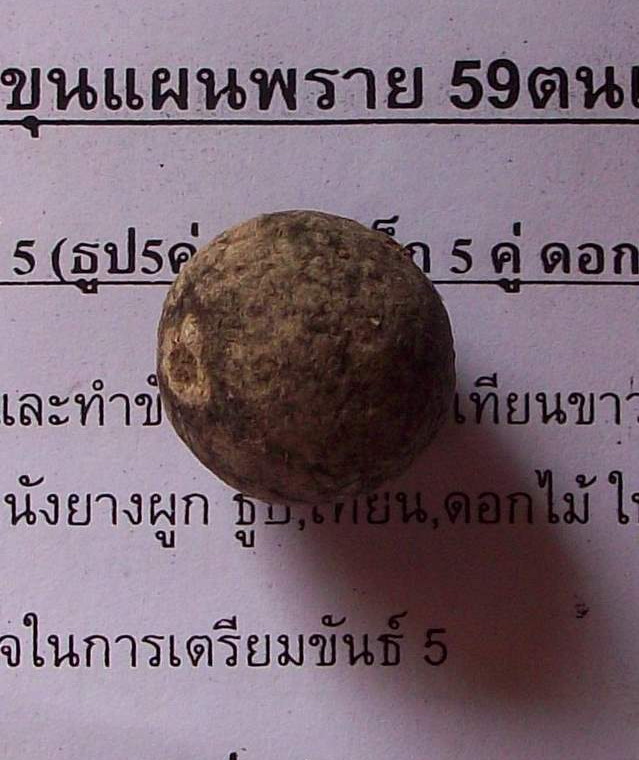 วัดใจ 99 บาท.ลูกอมผงพราย 59 ตน อ.เปล่ง บุญยืน พร้อมใบคาถาและวิธีการใช้ อย่างละเอียด