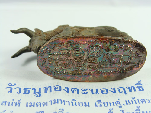 หลวงปู่กาหลง เขี้ยวแก้ว วัวธนูทองคะนองฤทธิ์ เนื้อสัมฤทธิ์ขอมโบราณพันปี เทดินไทย (((เคาะเดียวครับ)))