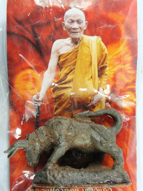 หลวงปู่กาหลง เขี้ยวแก้ว วัวธนูทองคะนองฤทธิ์ เนื้อสัมฤทธิ์ขอมโบราณพันปี เทดินไทย (((เคาะเดียวครับ)))
